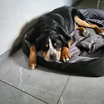 Nad Strumykiem Гостевой дом 3*