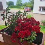 Nad Strumykiem Гостевой дом