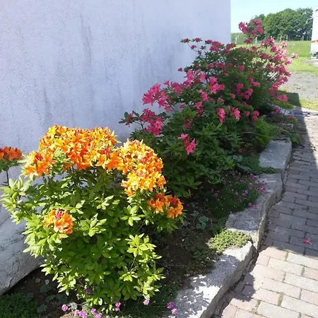 Nad Strumykiem Gæstehus Leśna