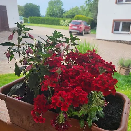 Nad Strumykiem Guest house