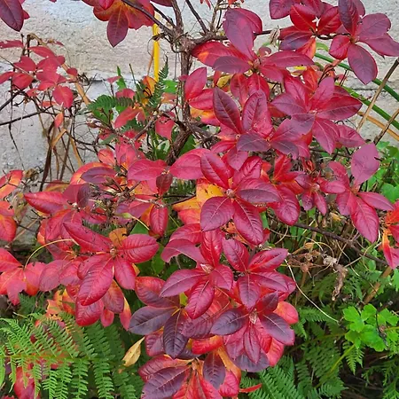 Gæstehus Nad Strumykiem 3*