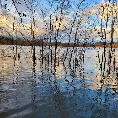 Nad Strumykiem 3* Leśna
