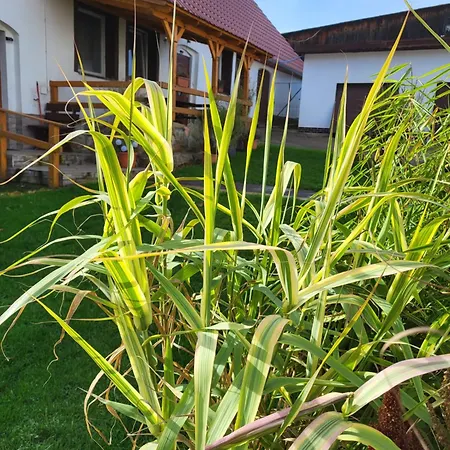 Nad Strumykiem Guest house *
