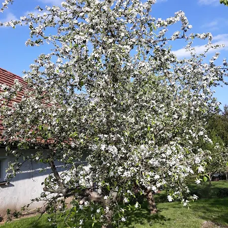 Nad Strumykiem Lesna (Luban)