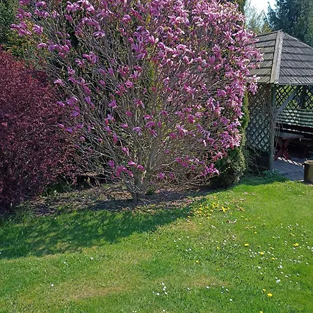 Gæstehus Nad Strumykiem