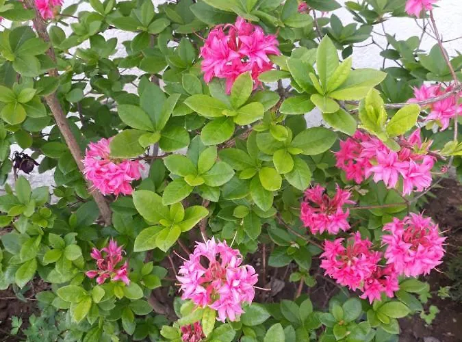 Nad Strumykiem Maison d'hôtes