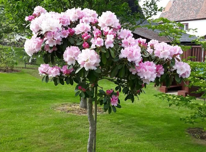 Nad Strumykiem Maison d'hôtes