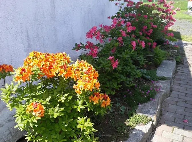 Nad Strumykiem Maison d'hôtes Leśna