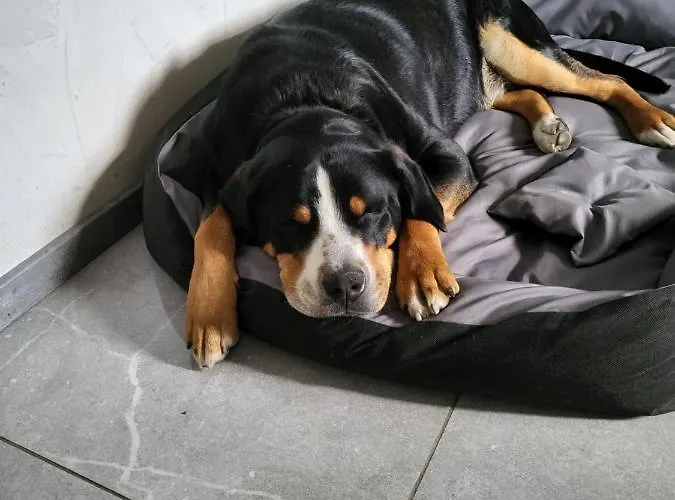 Nad Strumykiem Maison d'hôtes 3*