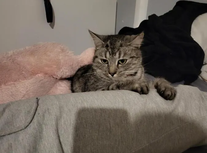 Maison d'hôtes Nad Strumykiem Leśna