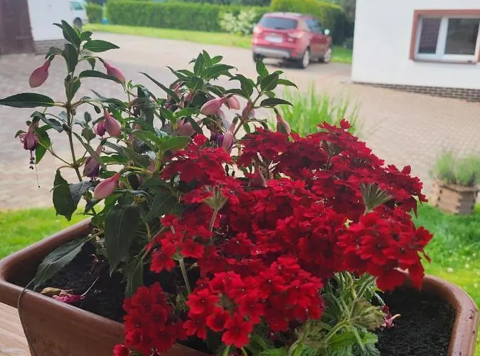 Nad Strumykiem Maison d'hôtes