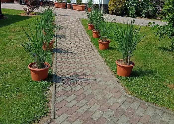 Nad Strumykiem 3* Leśna