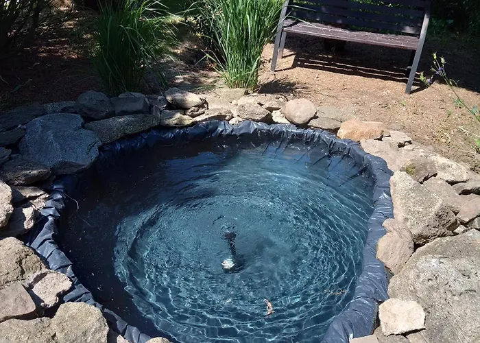 Nad Strumykiem Leśna