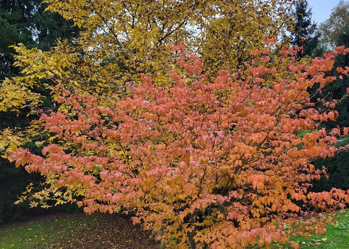 Nad Strumykiem Maison d'hôtes 3*