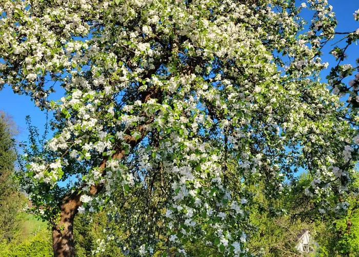 Nad Strumykiem Maison d'hôtes