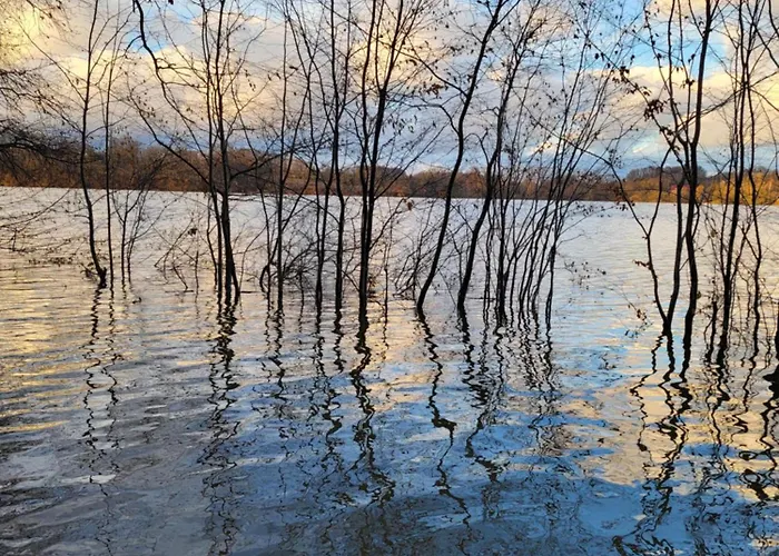 Nad Strumykiem 3* Leśna
