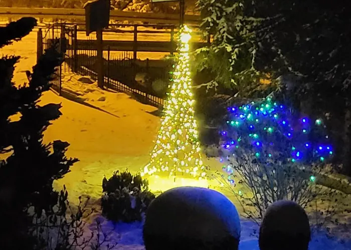 Nad Strumykiem Leśna