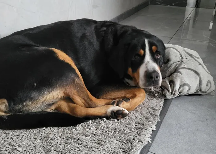 Nad Strumykiem 3* Leśna