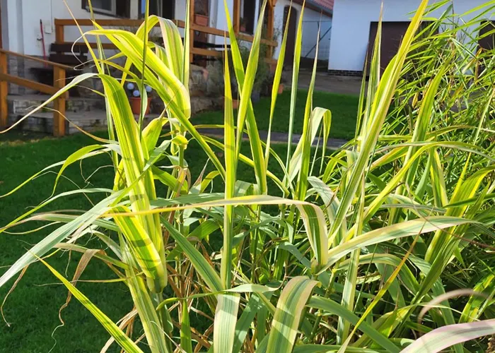 Nad Strumykiem Maison d'hôtes 3*