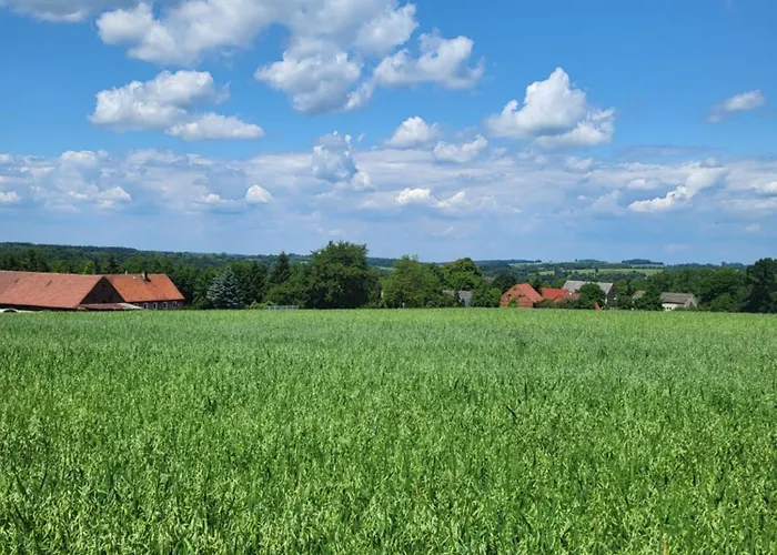 Nad Strumykiem Maison d'hôtes 3*