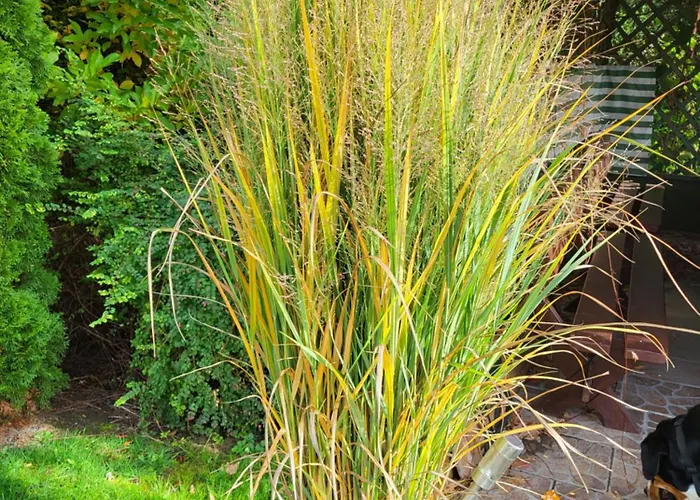 Nad Strumykiem Maison d'hôtes Leśna