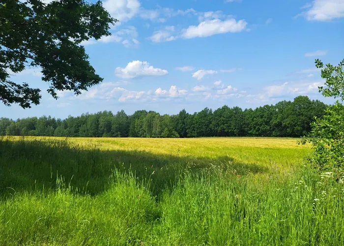 Nad Strumykiem 3* Leśna