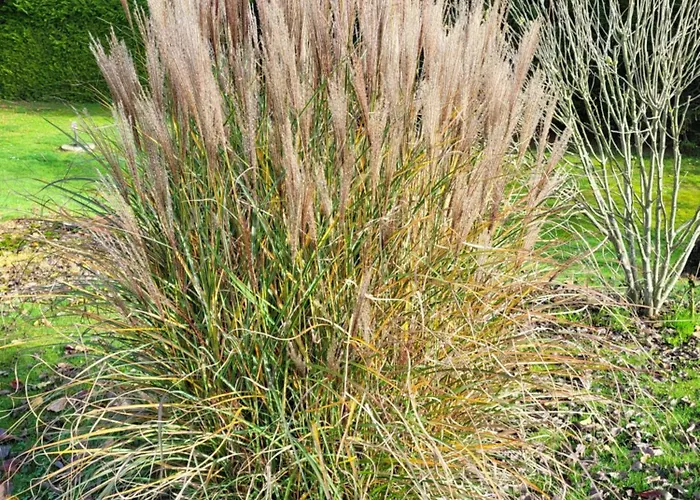 Nad Strumykiem Maison d'hôtes Leśna