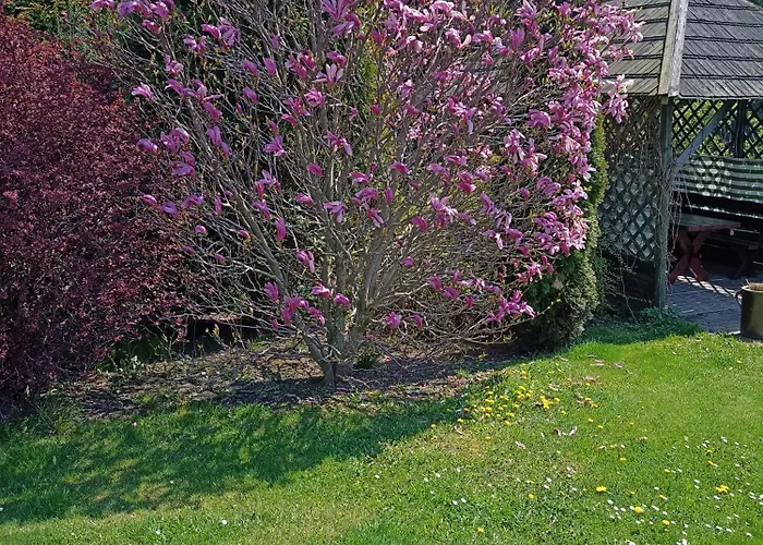 Maison d'hôtes Nad Strumykiem